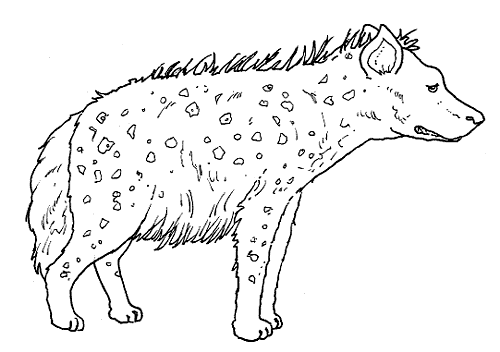 Hiena kolorowanki